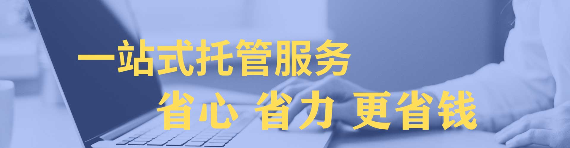 金凤竞价推广